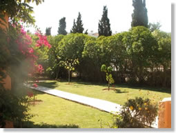 Photo of Covered Area